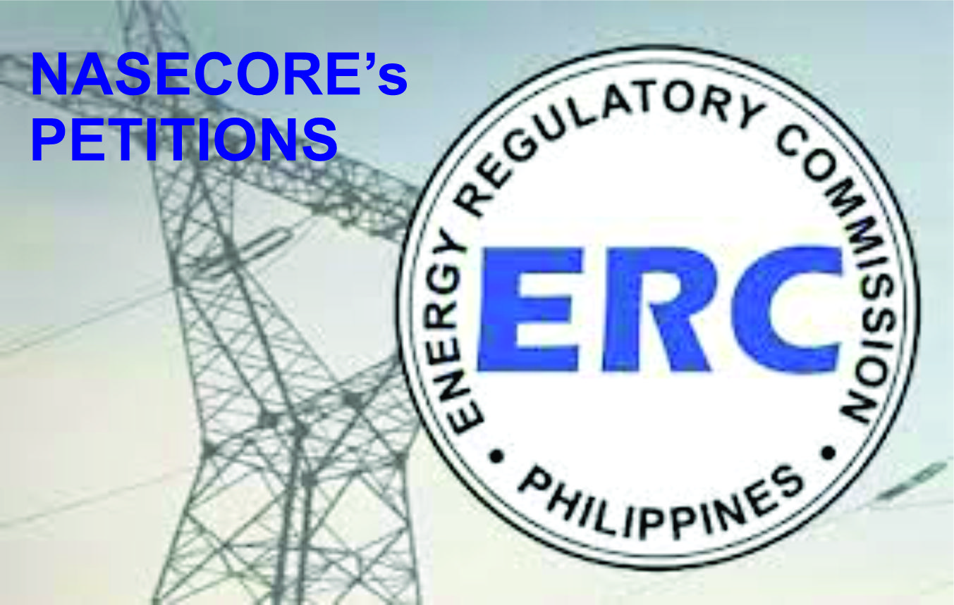 NASECORE Petition ERC